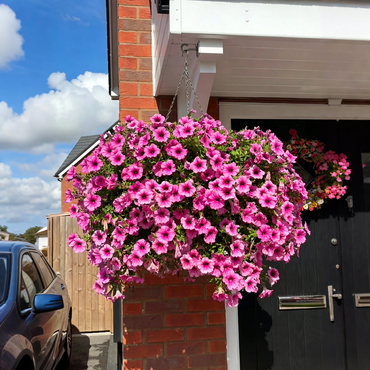 7 branches🔥Last Day 60% OFF🔥UV Resistant Artificial Petunias Flowers