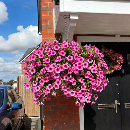 7 branches🔥Last Day 60% OFF🔥UV Resistant Artificial Petunias Flowers