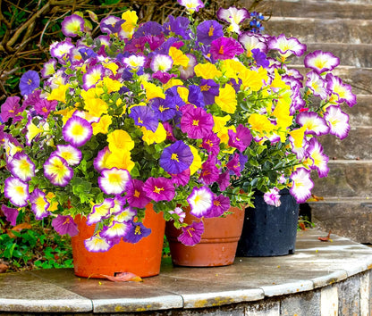 16 Pcs Artificial Morning Glory for Planter, UV Resistant Fake Flowers for Home Porch Patio Outside