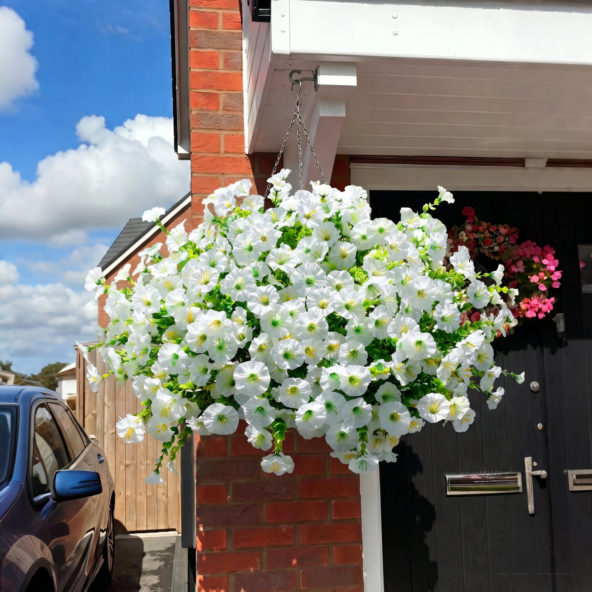 tafren-petunias-variant-White