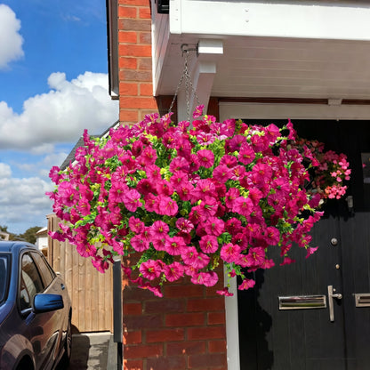 tafren-petunias-variant-Fuchsia