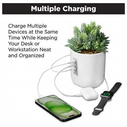 Vibrant Succulent Usb Charging Station Indoor Decor Arrangement