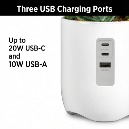 Vibrant Succulent Usb Charging Station Indoor Decor Arrangement