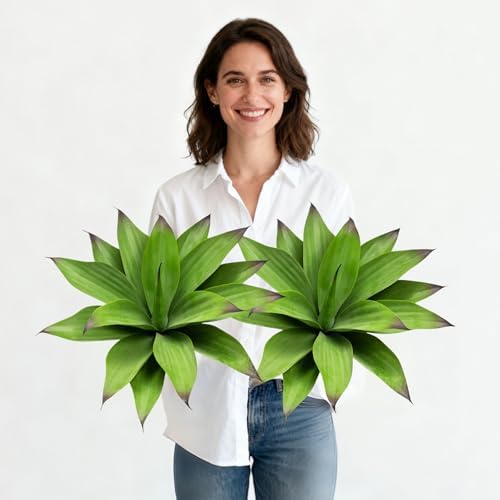 Timeless Artificial Agave Kitchen Style Home Decor Kit