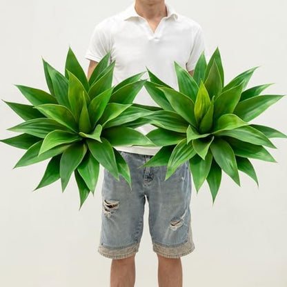 Premium Artificial Agave Large Kitchen Home Decor Bundle