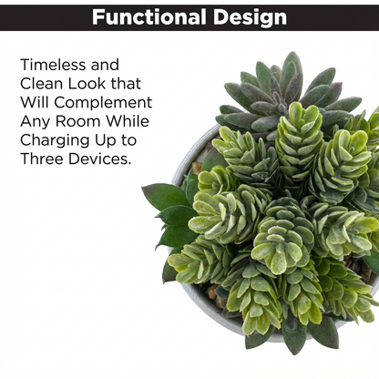 Vibrant Succulent Usb Charging Station Indoor Decor Arrangement