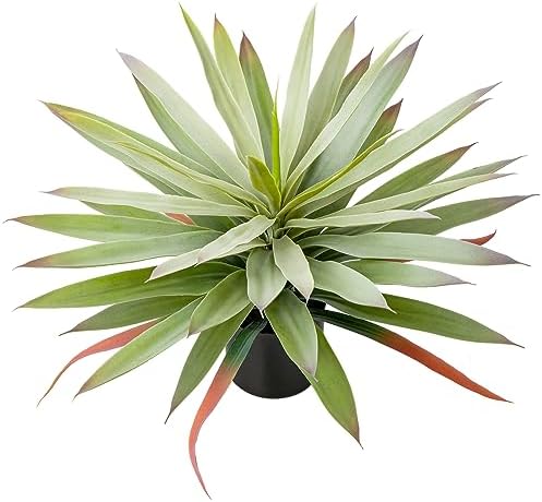 Deluxe Artificial Agave Plant Pot Home Decor Kit