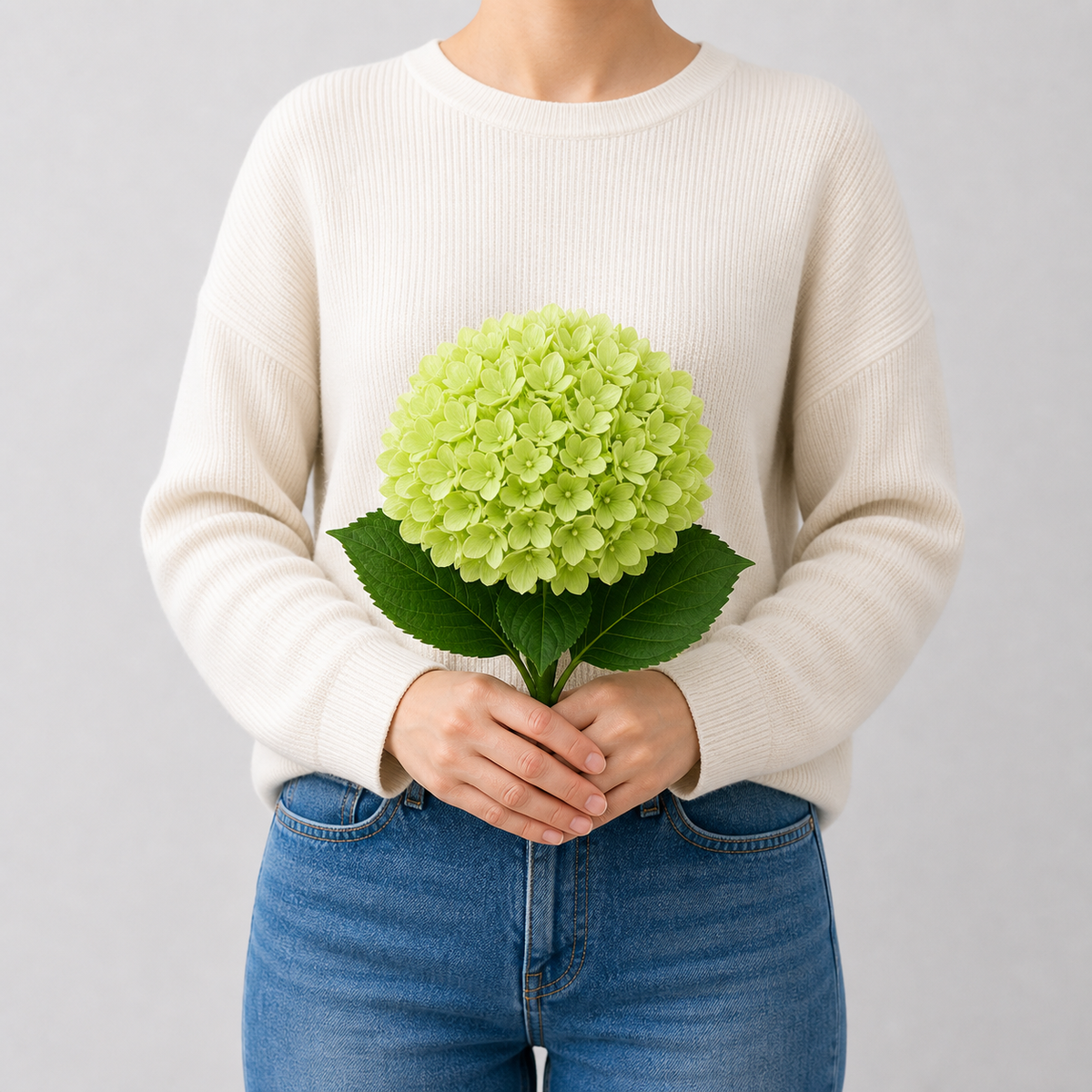Codex AIGC real hydrangea variant image - hydrangea - Green - 1 bundle - 1 ball