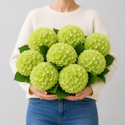 Codex AIGC real hydrangea variant image - hydrangea - Green - 8 bundles(🔥Bestselling) - 8 balls