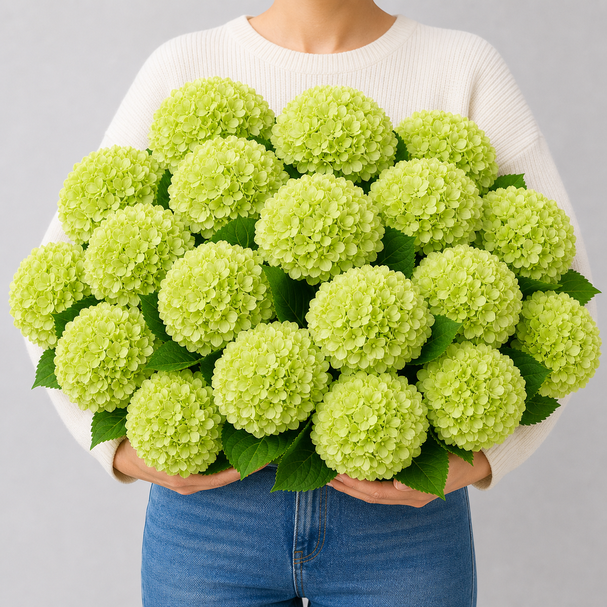 Codex AIGC real hydrangea variant image - hydrangea - Green - 16 bundles(💥Most affordable) - 16 balls