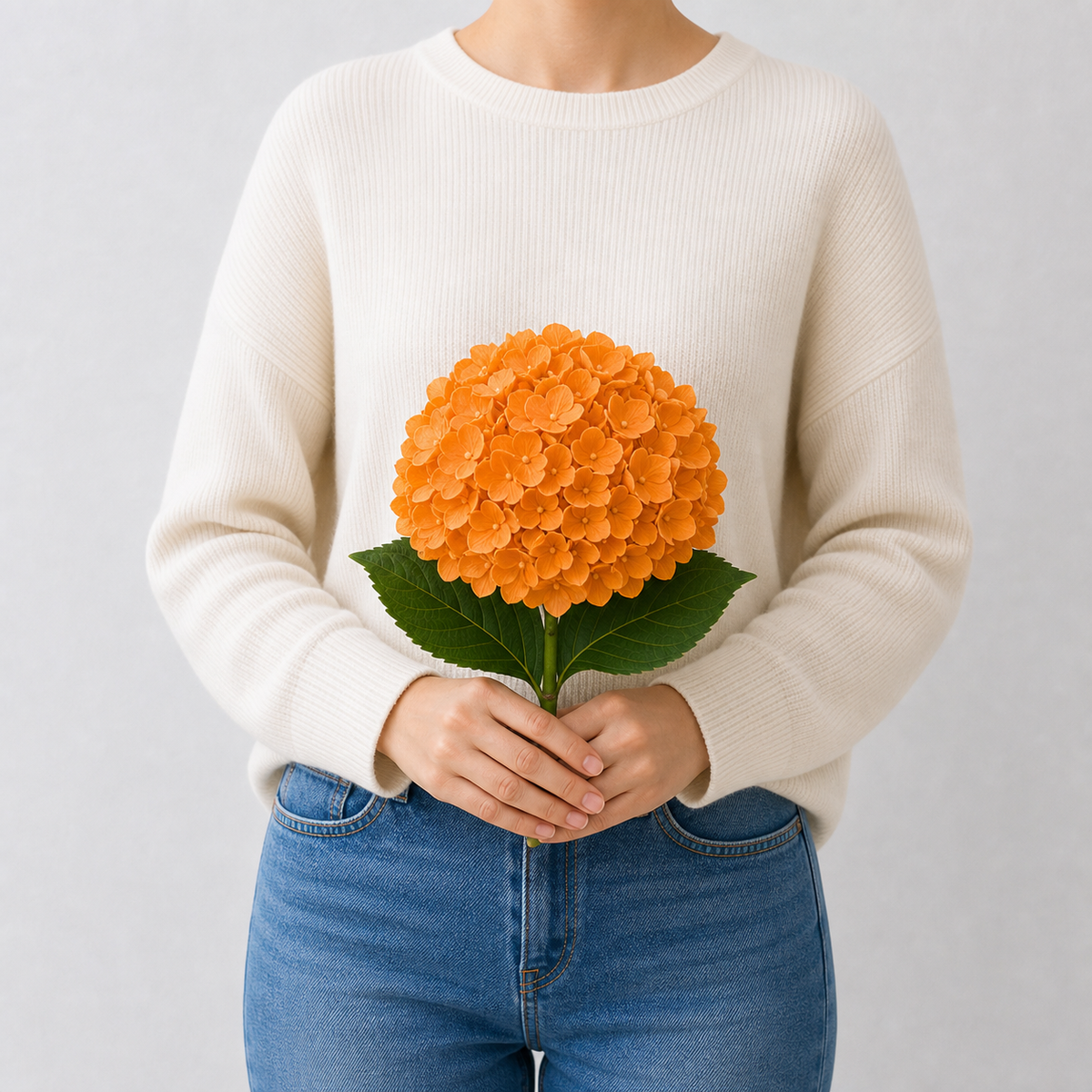 Codex AIGC real hydrangea variant image - hydrangea - Orange - 1 bundle - 1 ball