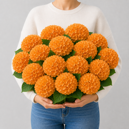 Codex AIGC real hydrangea variant image - hydrangea - Orange - 16 bundles(💥Most affordable) - 16 balls