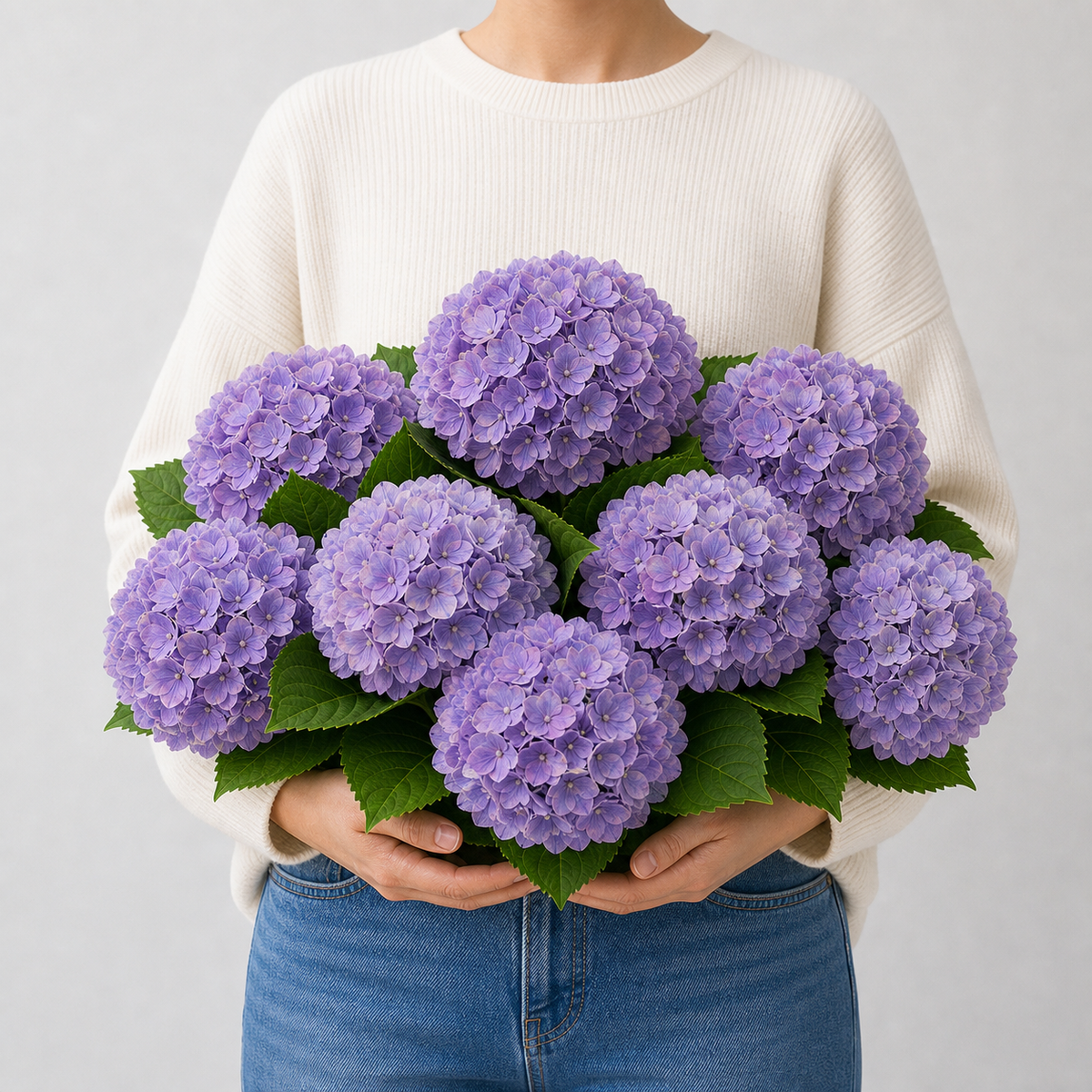 Codex AIGC real hydrangea variant image - hydrangea - Purple - 8 bundles(🔥Bestselling) - 8 balls