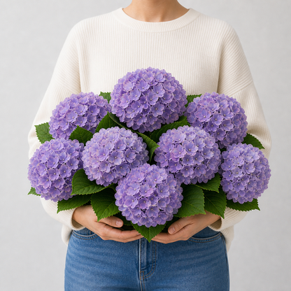 Codex AIGC real hydrangea variant image - hydrangea - Purple - 8 bundles(🔥Bestselling) - 8 balls