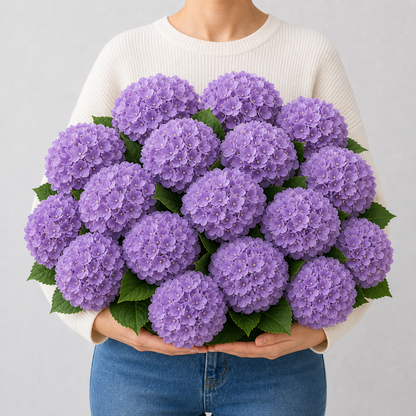 Codex AIGC real hydrangea variant image - hydrangea - Purple - 16 bundles(💥Most affordable) - 16 balls