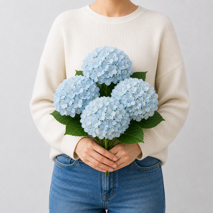 Codex AIGC real hydrangea variant image - hydrangea - Blue - 4 bundles - 4 balls