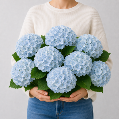 Codex AIGC real hydrangea variant image - hydrangea - Blue - 8 bundles(🔥Bestselling) - 8 balls