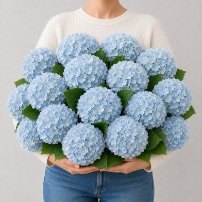 Codex AIGC real hydrangea variant image - hydrangea - Blue - 16 bundles(💥Most affordable) - 16 balls