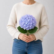 Light Blue Violet