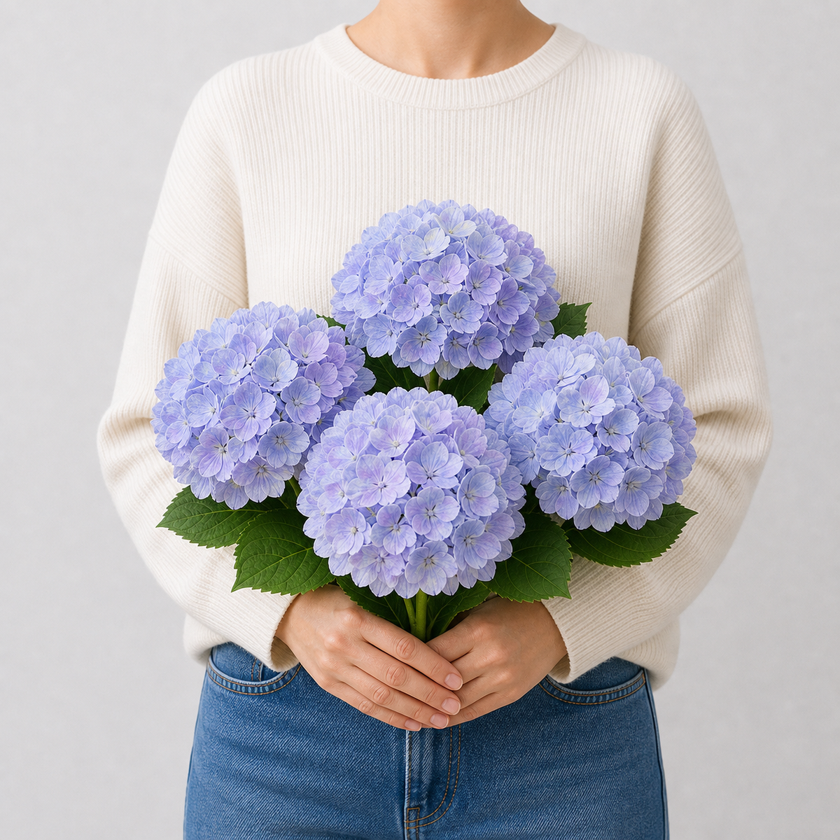 Codex AIGC real hydrangea variant image - hydrangea - Light Blue Violet - 4 bundles - 4 balls