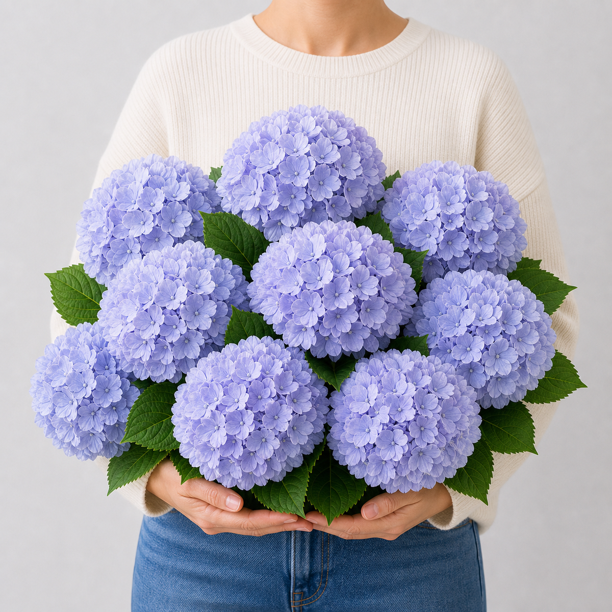 Codex AIGC real hydrangea variant image - hydrangea - Light Blue Violet - 8 bundles(🔥Bestselling) - 8 balls