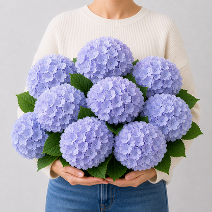 Codex AIGC real hydrangea variant image - hydrangea - Light Blue Violet - 8 bundles(🔥Bestselling) - 8 balls