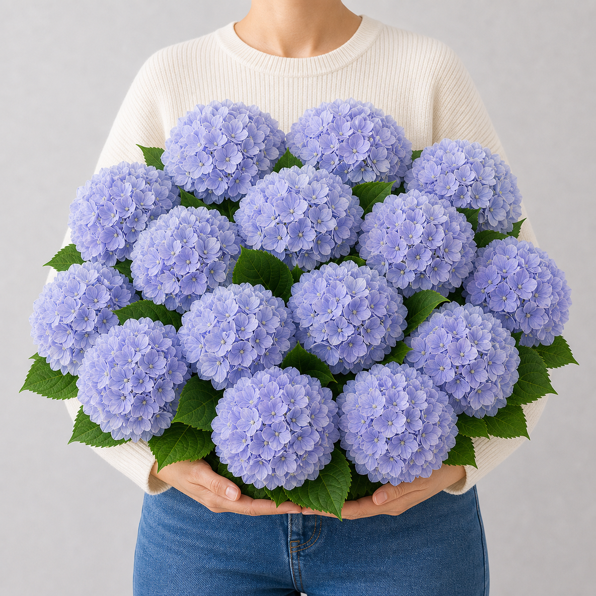 Codex AIGC real hydrangea variant image - hydrangea - Light Blue Violet - 16 bundles(💥Most affordable) - 16 balls