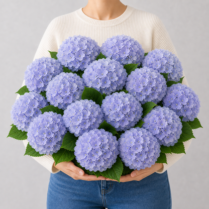 Codex AIGC real hydrangea variant image - hydrangea - Light Blue Violet - 16 bundles(💥Most affordable) - 16 balls