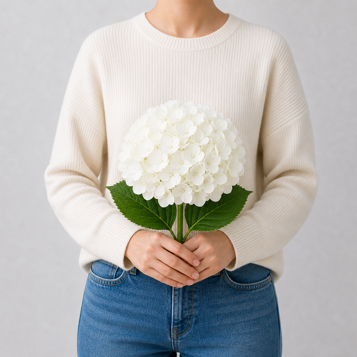 Codex AIGC real hydrangea variant image - hydrangea - White - 1 bundle - 1 ball