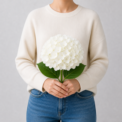 Codex AIGC real hydrangea variant image - hydrangea - White - 1 bundle - 1 ball