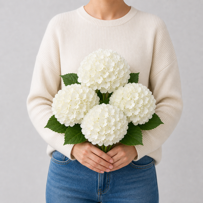 Codex AIGC real hydrangea variant image - hydrangea - White - 4 bundles - 4 balls