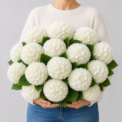 Codex AIGC real hydrangea variant image - hydrangea - White - 16 bundles(💥Most affordable) - 16 balls