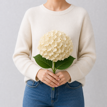 Codex AIGC real hydrangea variant image - hydrangea - Champagne - 1 bundle - 1 ball