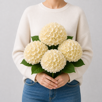 Codex AIGC real hydrangea variant image - hydrangea - Champagne - 4 bundles - 4 balls