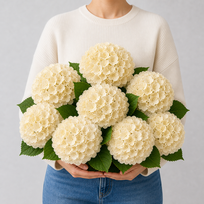 Codex AIGC real hydrangea variant image - hydrangea - Champagne - 8 bundles(🔥Bestselling) - 8 balls