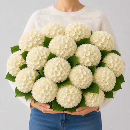 Codex AIGC real hydrangea variant image - hydrangea - Champagne - 16 bundles(💥Most affordable) - 16 balls
