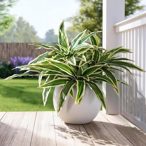 Premium Artificial Bird Nest Fern Home Decor Set