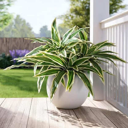 Premium Artificial Bird Nest Fern Home Decor Set