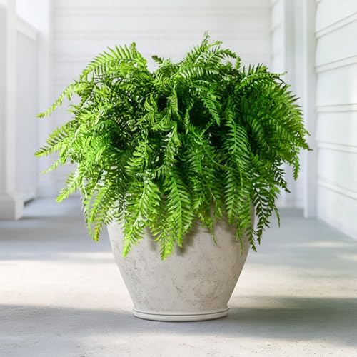 Vibrant Artificial Fern Greenery Kitchen Home Decor Display