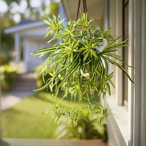 Lifelike Artificial Spider Hanging Chlorophytum Home Decor Bundle