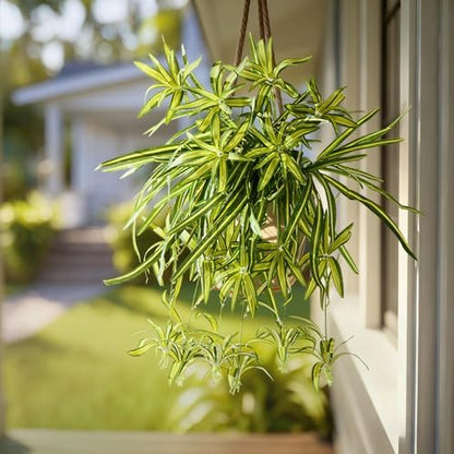 Lifelike Artificial Spider Hanging Chlorophytum Home Decor Bundle