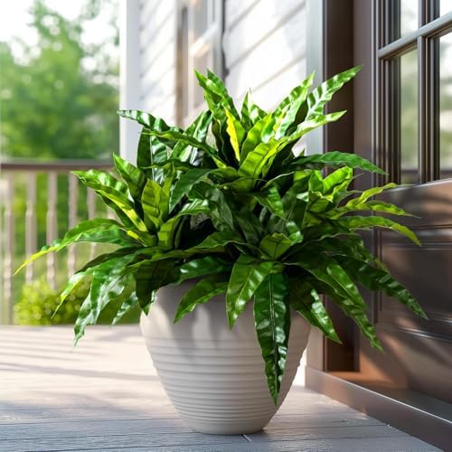 Premium Artificial Bird Nest Fern Home Decor Set