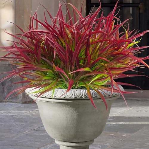 Refined Bundles Artificial Resistant Grass Outdoor Decor Set