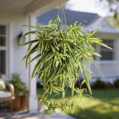Lifelike Artificial Spider Hanging Chlorophytum Home Decor Bundle
