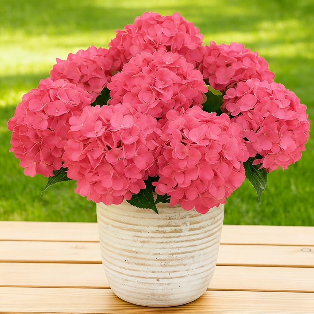 UV Resistant Hydrangeas 6 Bundles with 30 Heads Artificial Faux Silk Flowers for Garden Porch Yard Window Box Wedding Decoration Bush for Outdoor Front Door Garden Decor Potted Topiary