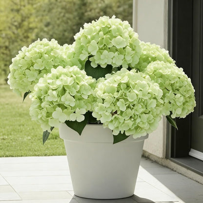 UV Resistant Hydrangeas 6 Bundles with 30 Heads Artificial Faux Silk Flowers for Garden Porch Yard Window Box Wedding Decoration Bush for Outdoor Front Door Garden Decor Potted Topiary