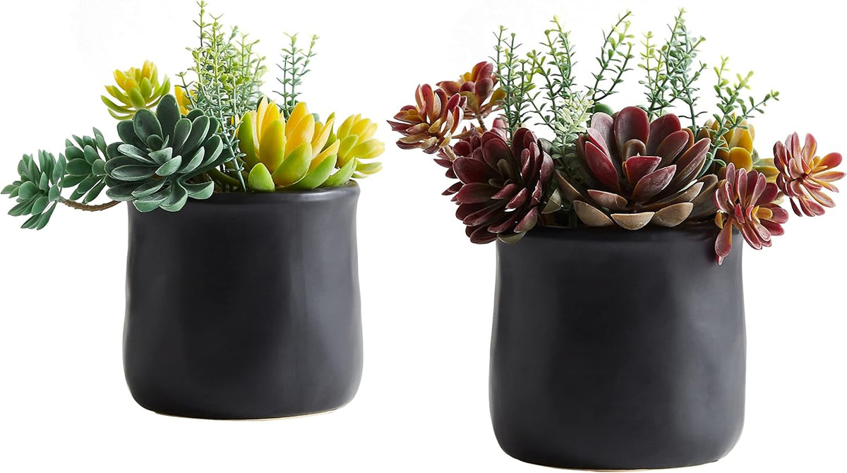 Artificial Succulent Plants in Ceramic Pots, Faux Assorted Succulents Fake Cactus Plants for Home Decor, Bedroom, Office, Desk, Living Room, Set of 3…