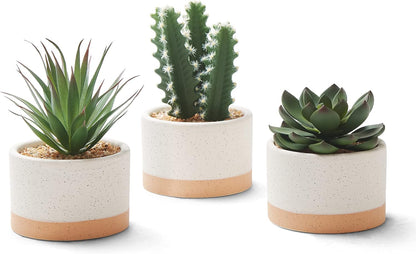 Artificial Succulent Plants in Ceramic Pots, Faux Assorted Succulents Fake Cactus Plants for Home Decor, Bedroom, Office, Desk, Living Room, Set of 3…