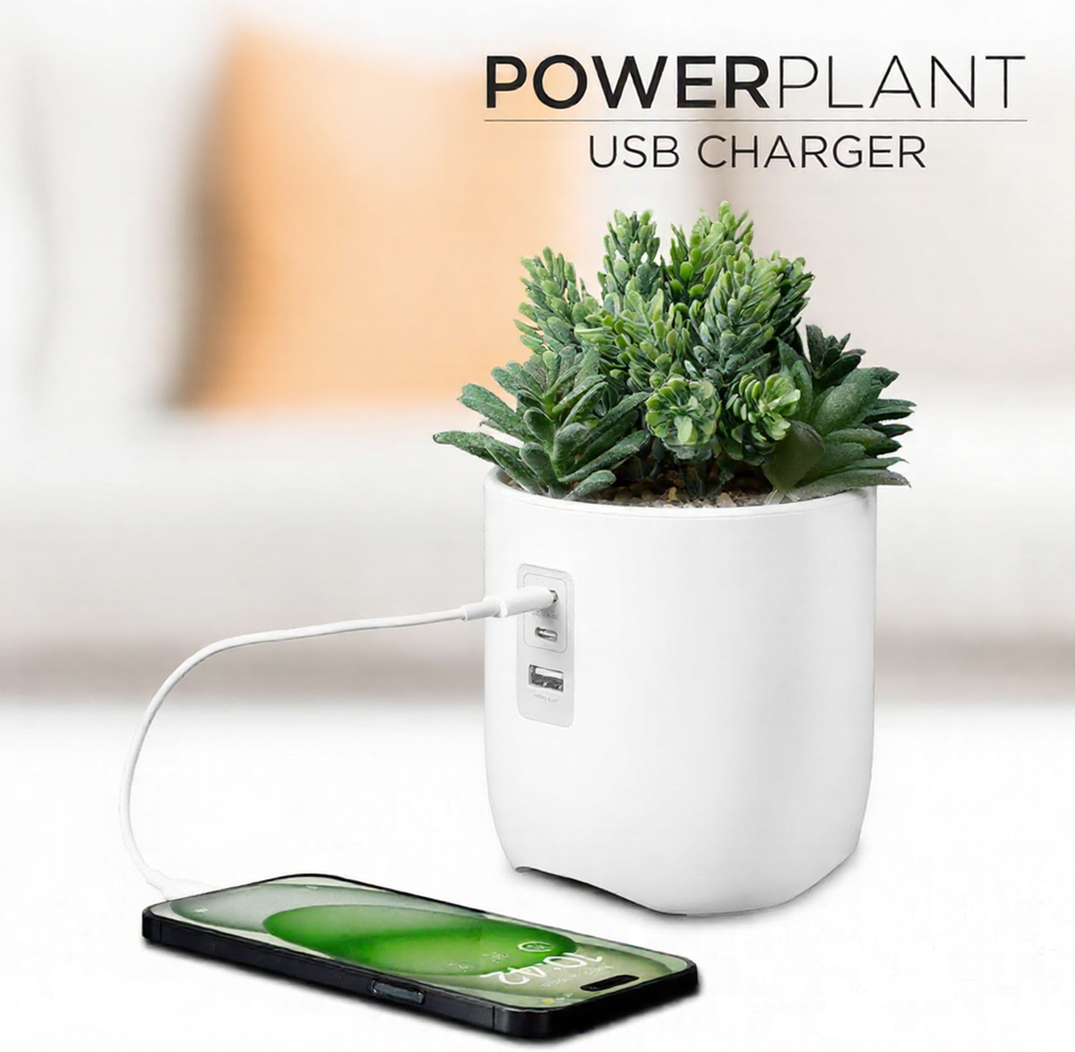 Vibrant Succulent Usb Charging Station Indoor Decor Arrangement