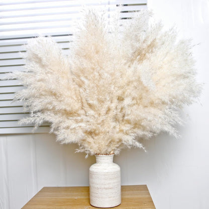 Charming Tall Dried Pampas Grass Stems Indoor Decor Statement